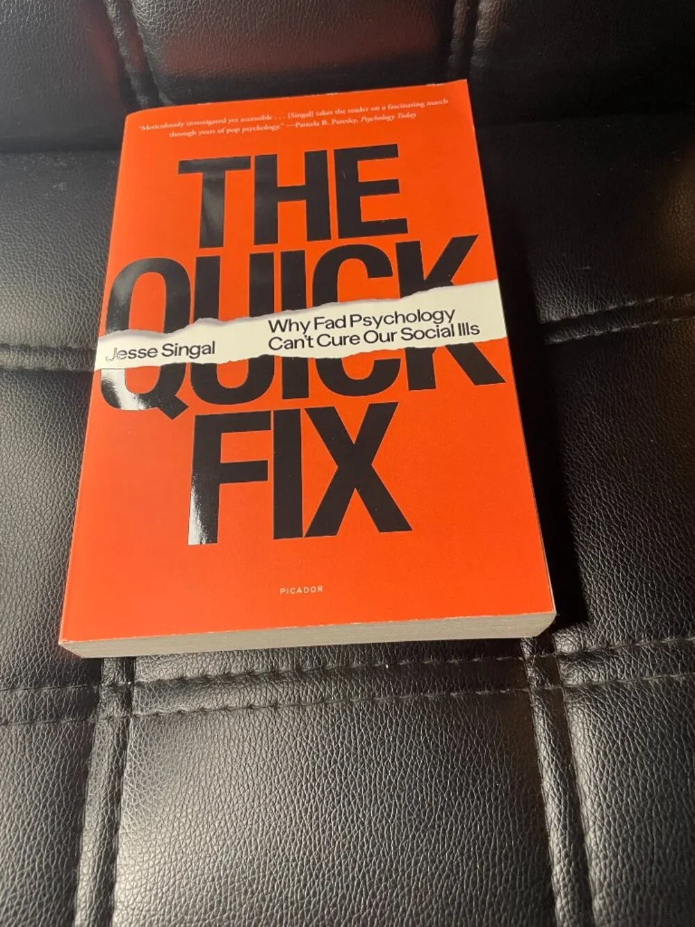 The Quick Fix: Why Fad Psychology Can't Cure Our Social Ills Book Paperback